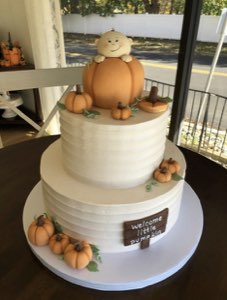 Baby & Gender Reveal custom cake