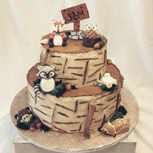 Baby & Gender Reveal custom cake