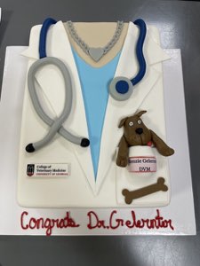 Graduation custom cake