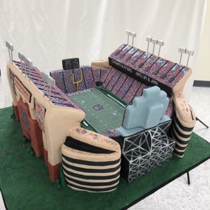 Groom's Cakes custom cake