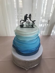 Groom's Cakes custom cake