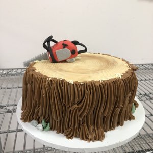 Groom's Cakes custom cake